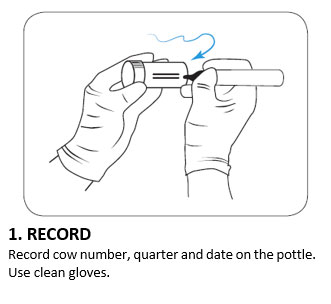 1. RECORD 1. RECORD