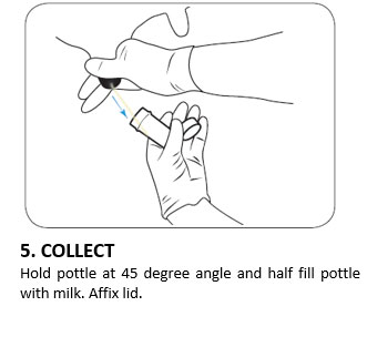 5. COLLECT 5. COLLECT