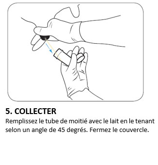 5. COLLECTER 5. COLLECTER
