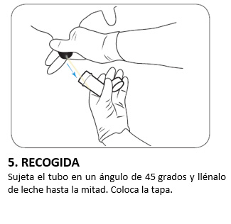 5. COLLECT 5. COLLECT