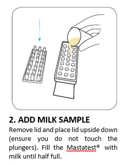 2. ADD MILK SAMPLE 2. CLEAN TEAT